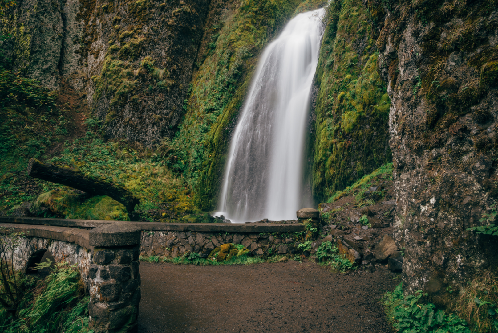 An image depicting the trail Vista Point Trail via Wahkeena Trail and its surrounding area.