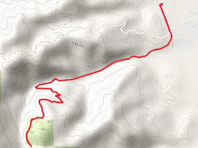 Pierce Canyon Walk