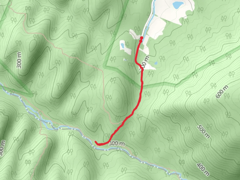 Thompson Hollow Trail