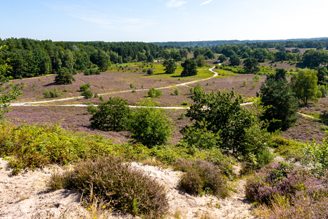 Brunssummerheide via Rimburger Weg, Kamperheide Weg and Grote Hei Weg