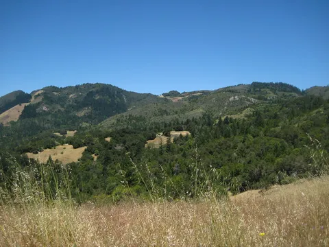 Lower Bald Mountain Trail, Red Mountain Trail and Headwaters Loop Trail