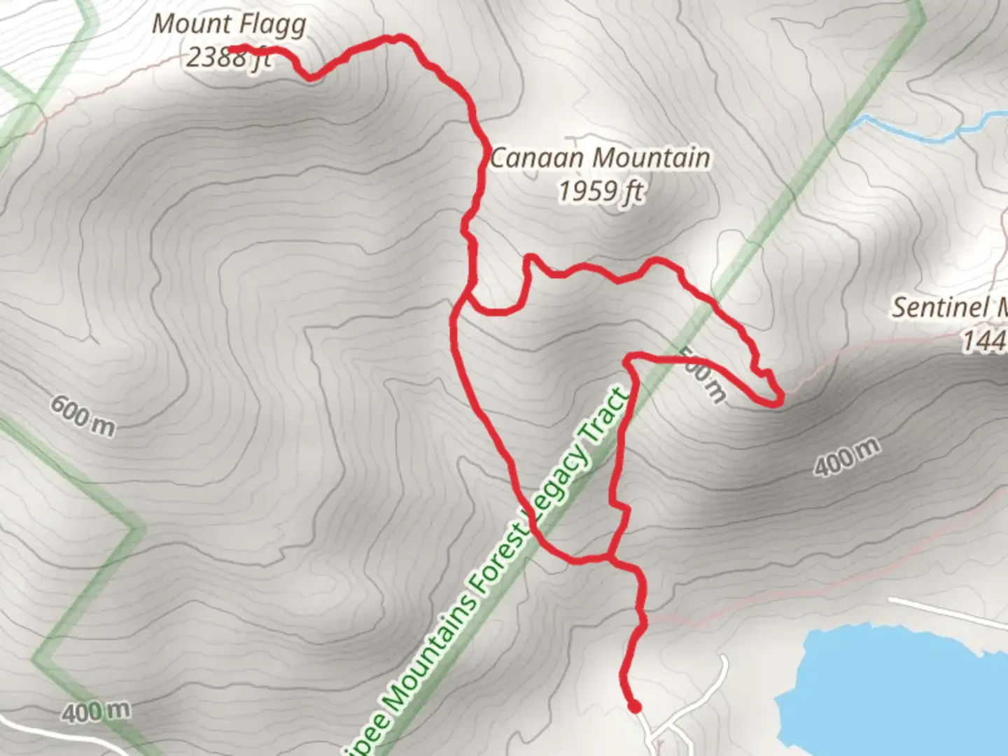 An image depicting the trail Mount Flagg Loop Trail and its surrounding area.