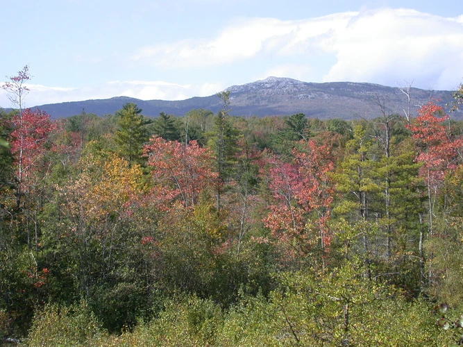 Mount Monadnock Trail
