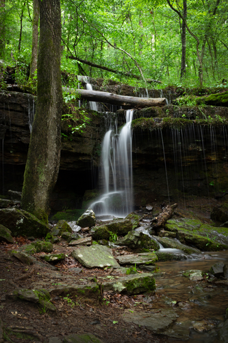 Ozark Trail