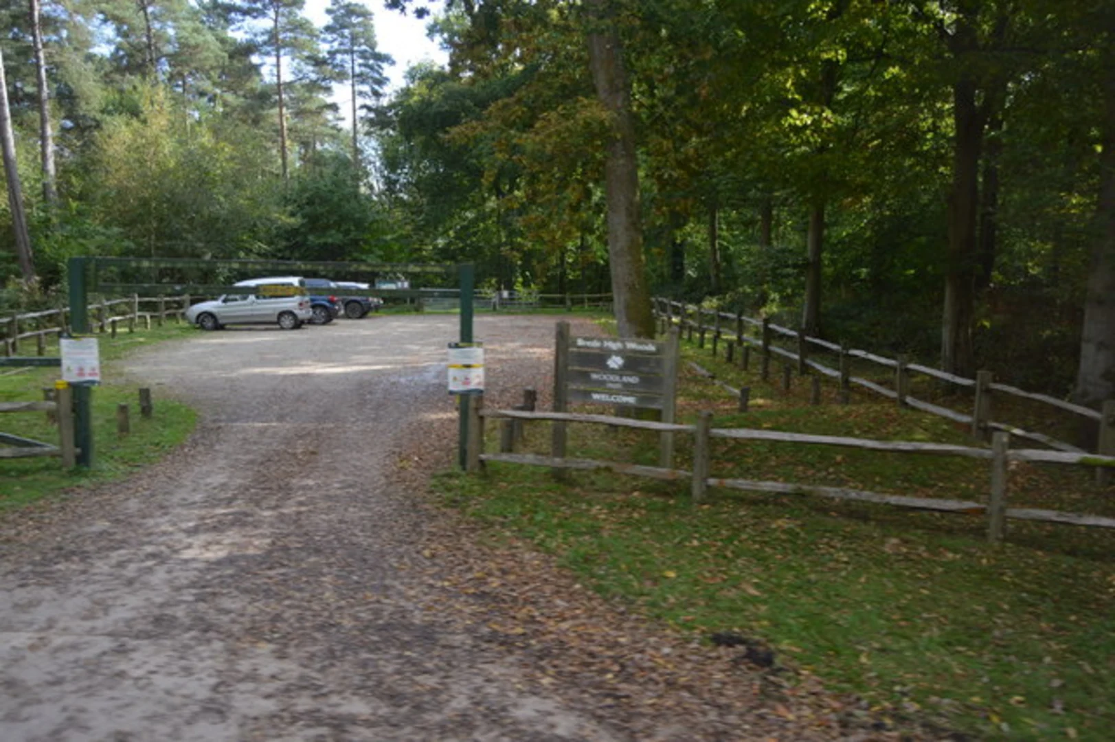 An image depicting the trail Powdermill Reservoir and Brede High Wood Loop and its surrounding area.