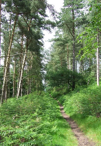 Swindon, Holy Austin Rock and Kinver Loop