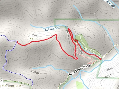 Benton MacKaye Trail from Rock Creek Road