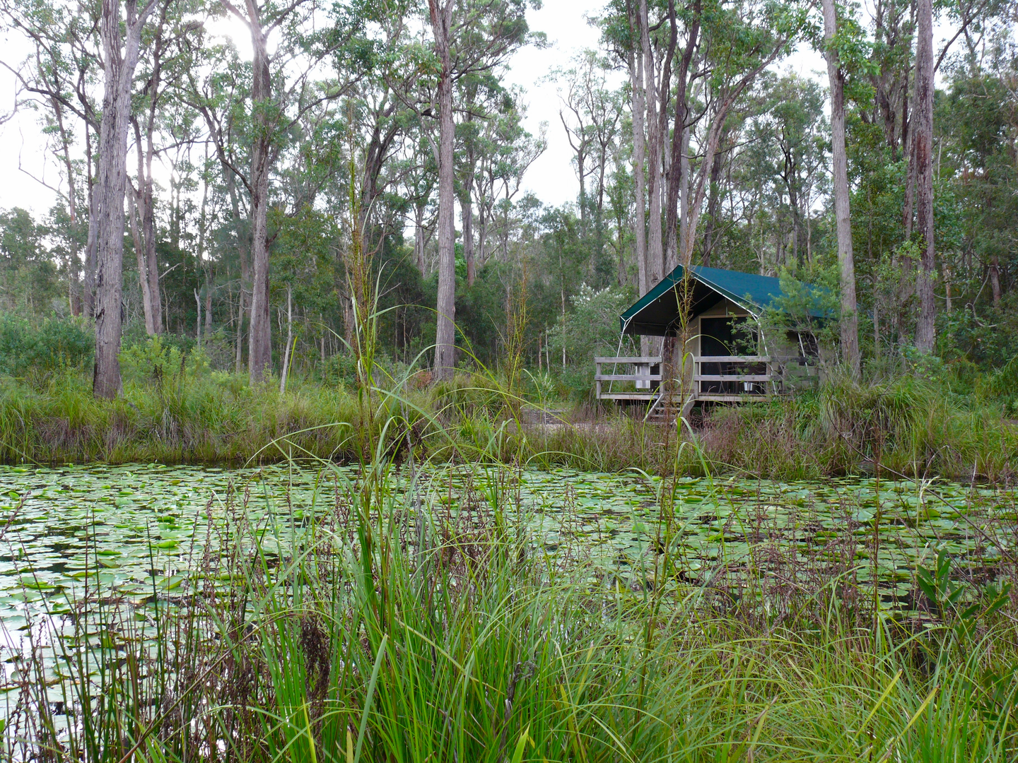An image depicting the trail The Maria Island Walk and its surrounding area.
