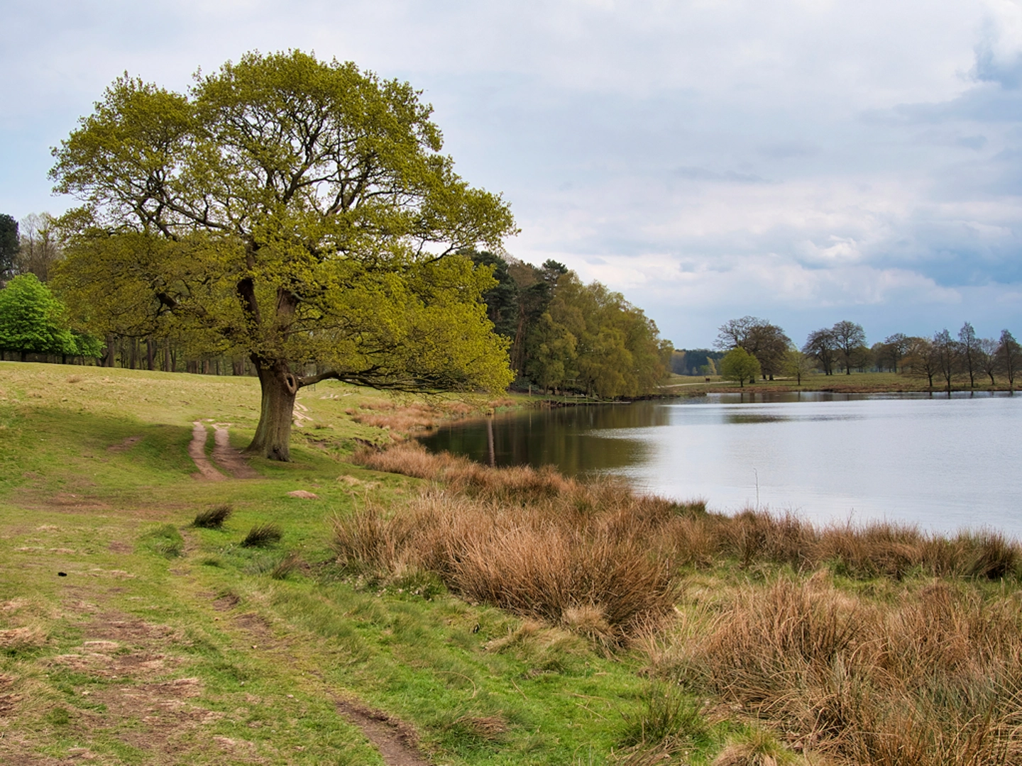 An image depicting the trail Tatton Park National Trust Loop and its surrounding area.