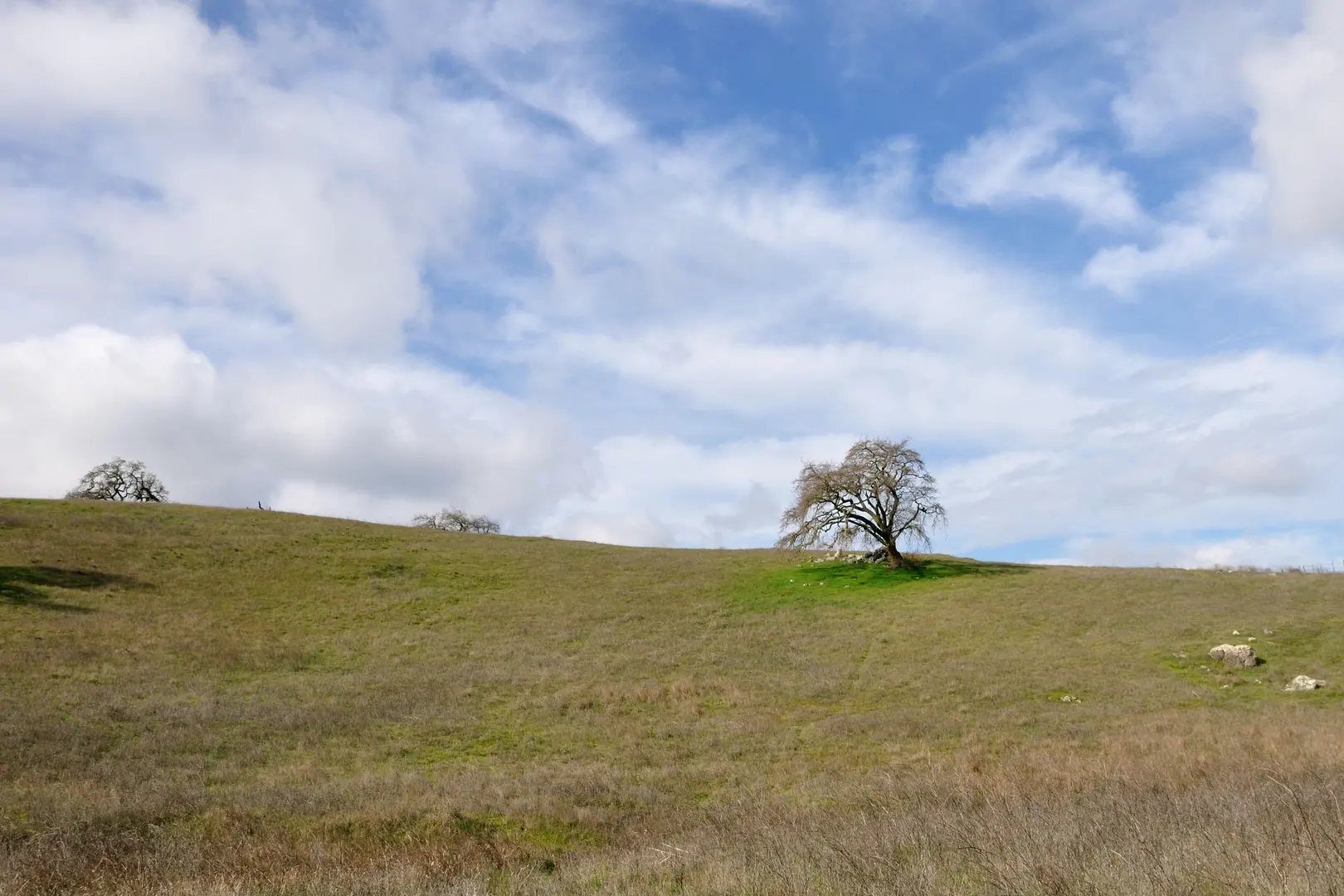 An image depicting the trail Lisa Killough Trail - Short and its surrounding area.