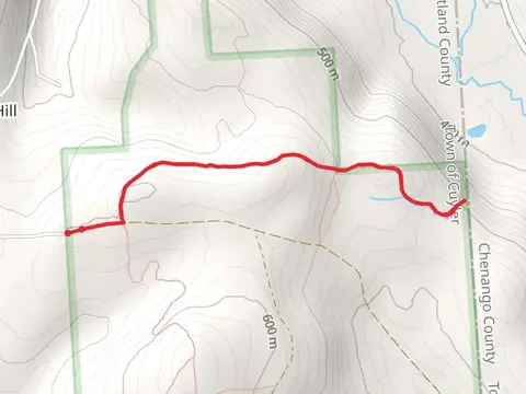 Chippewa Falls Trail