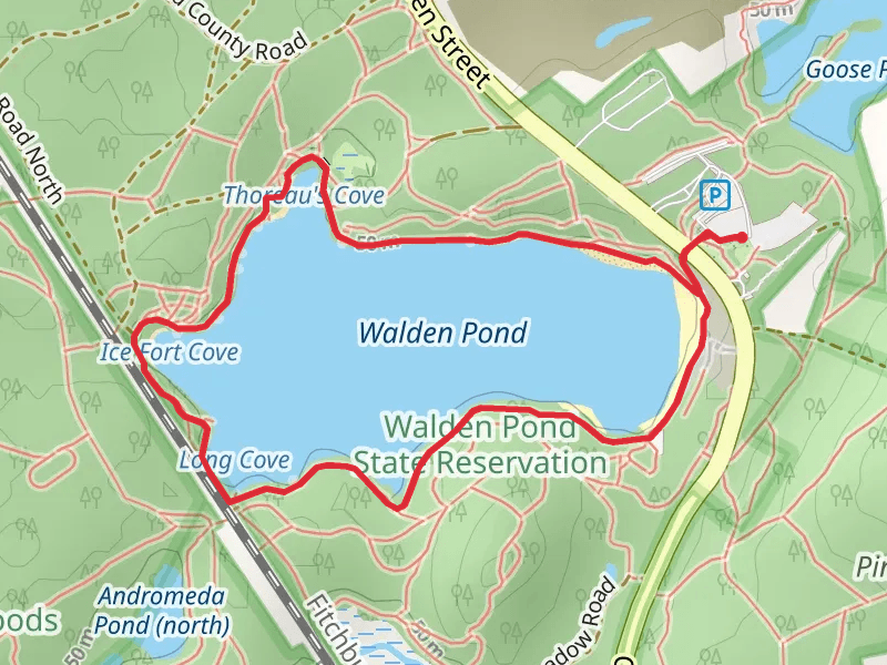 Walden Pond Loop