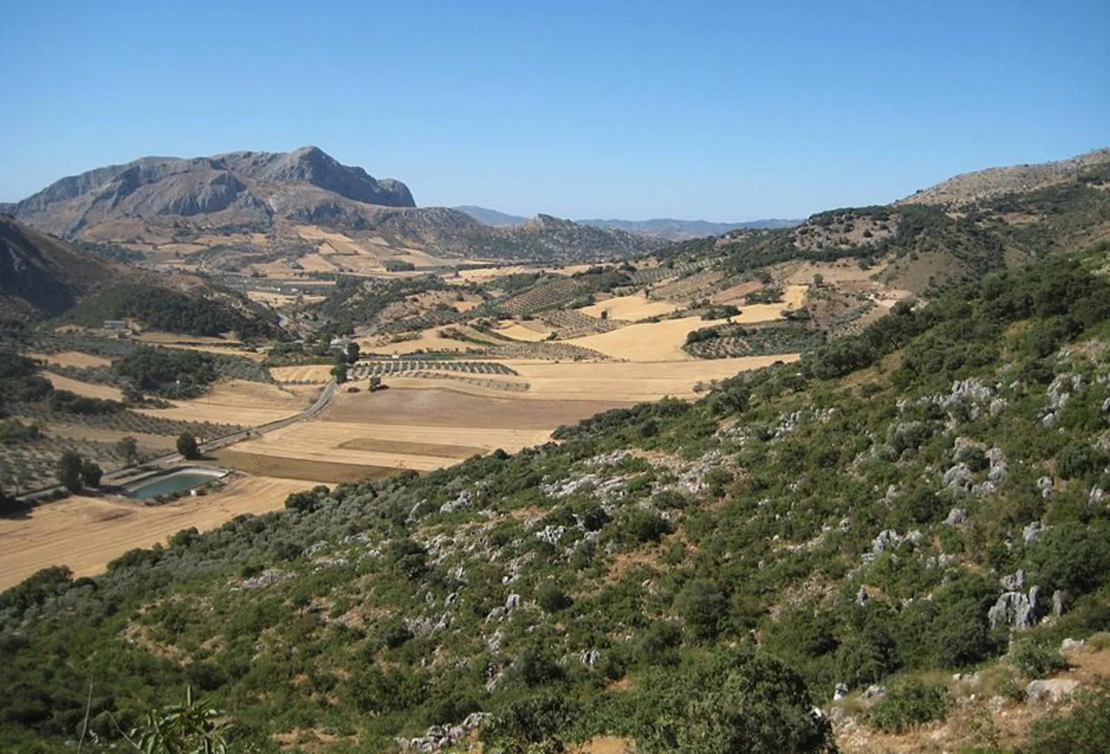 An image depicting the trail From the Morillas Forest PR A 268 and its surrounding area.