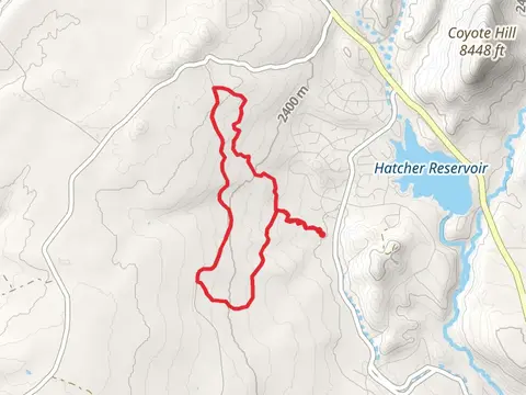 New Jack Road and Catamount Loop