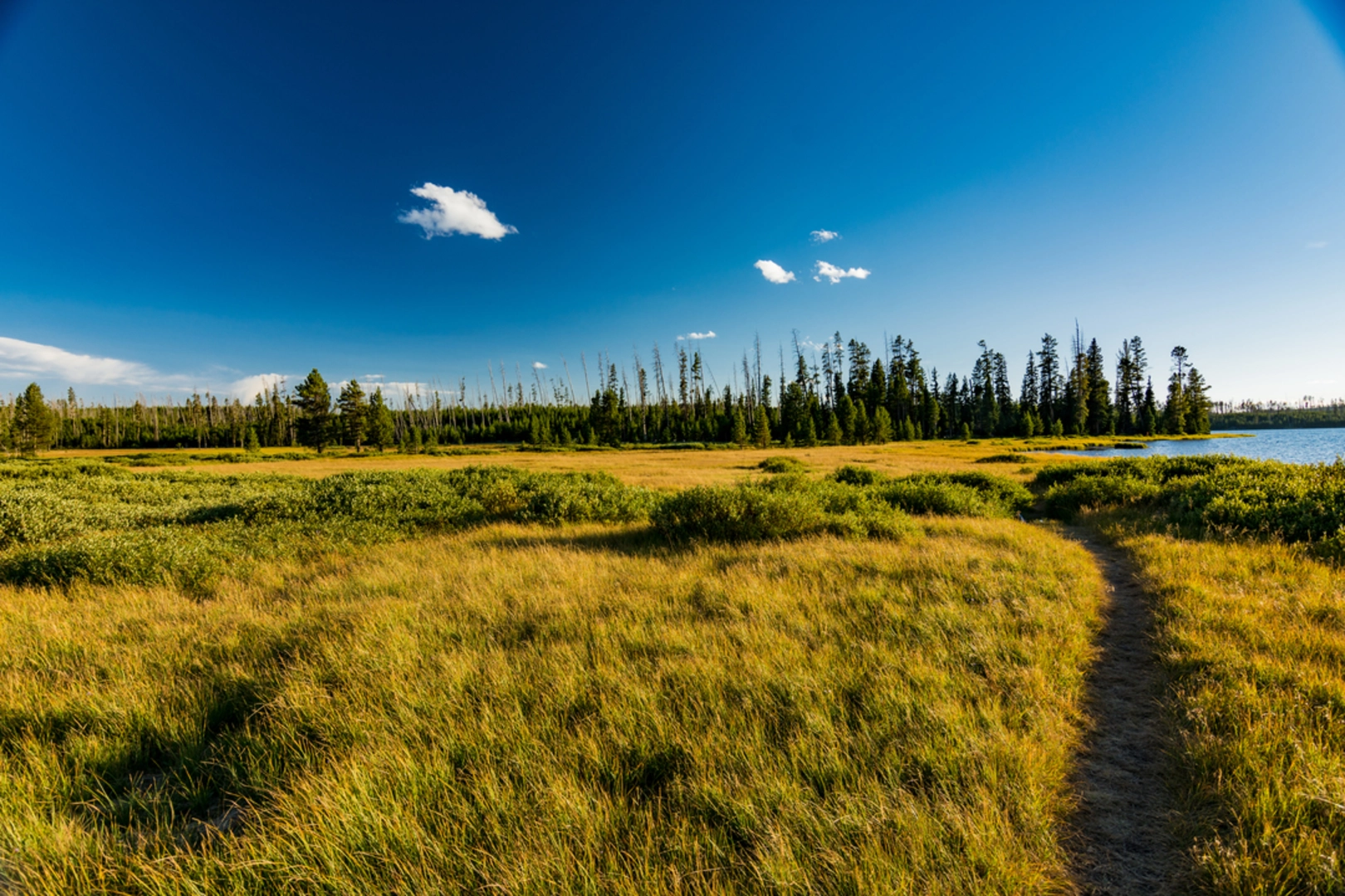 An image depicting the trail Howard Eaton Trail - Canyon Area and its surrounding area.