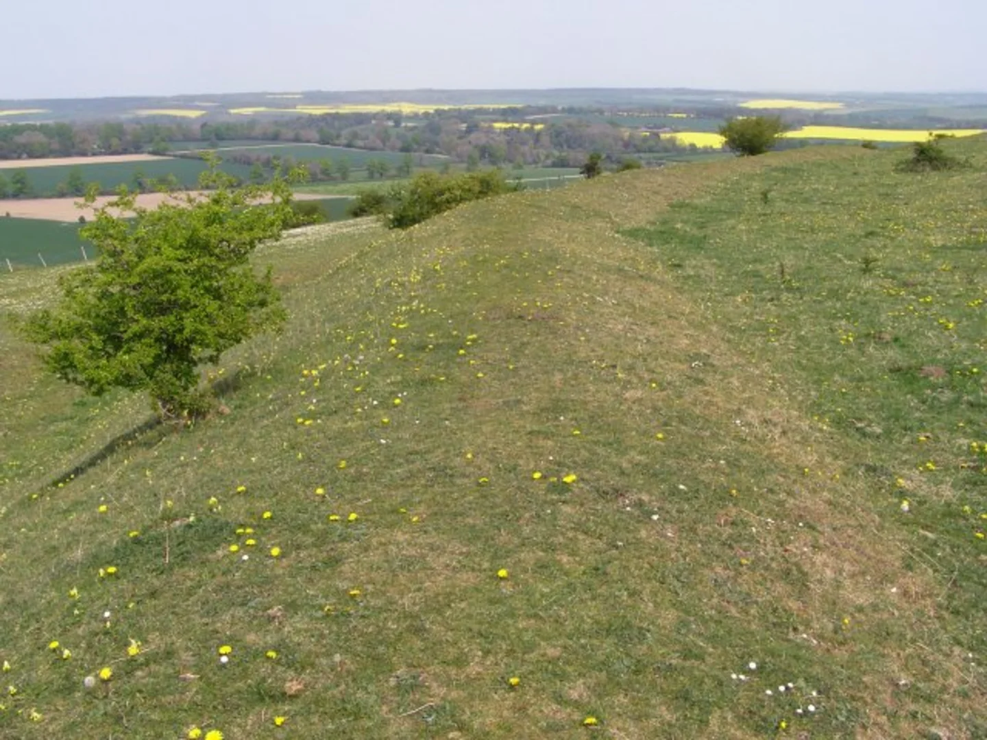 Chiselbury Hill Loop | Wiltshire | England