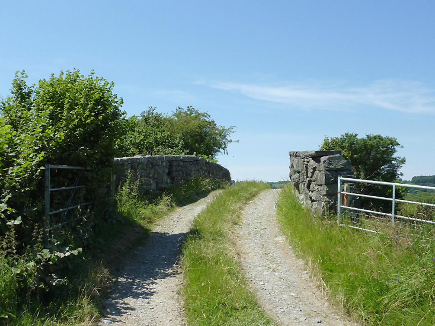 An image depicting the trail The Elephant Walk from Tregaron and its surrounding area.