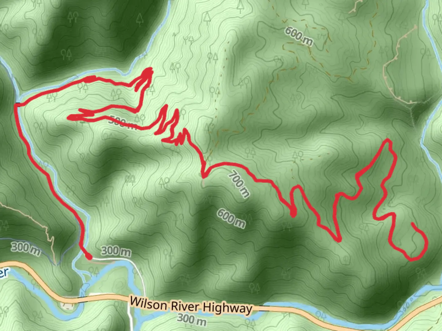 An image depicting the trail Wilson River Trail from Elk Creek Road and its surrounding area.