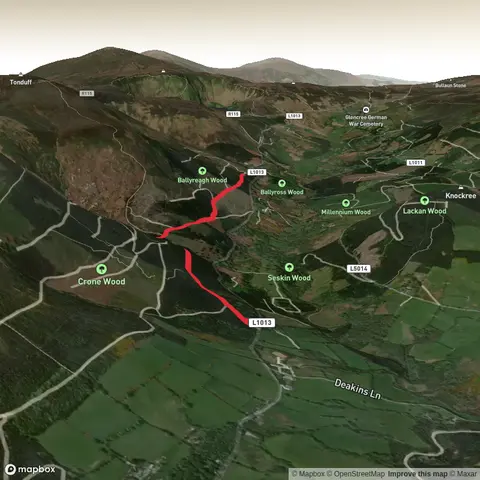 Leinster MPC - Bellyross