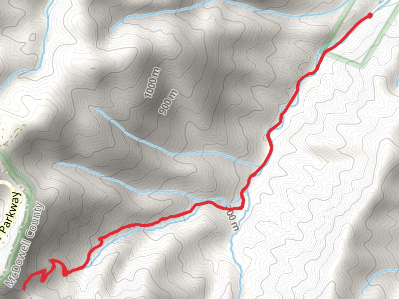 Hazelnut Gap Ridge via Armstrong Creek Trail