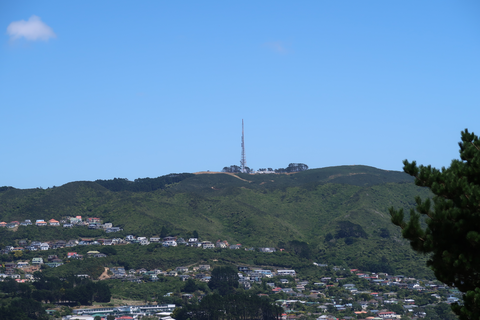 Mount Kaukau Summit Loop