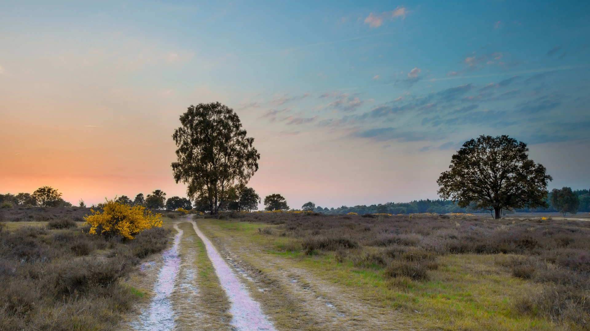 An image depicting the trail Houten Loop and its surrounding area.