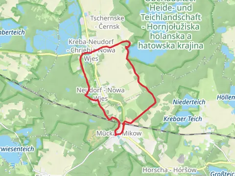 Hammerteich via Wanderweg Gelber Strich