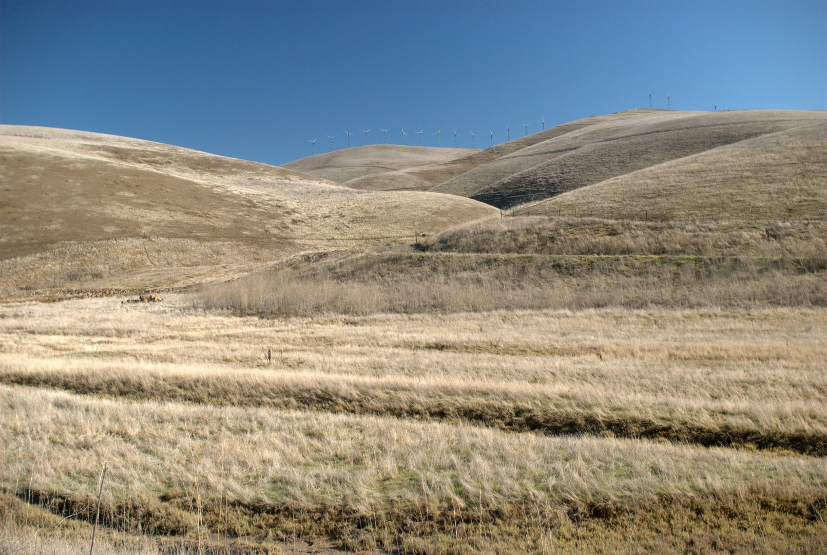 An image depicting the trail Brushy Peak Loop Trail and its surrounding area.