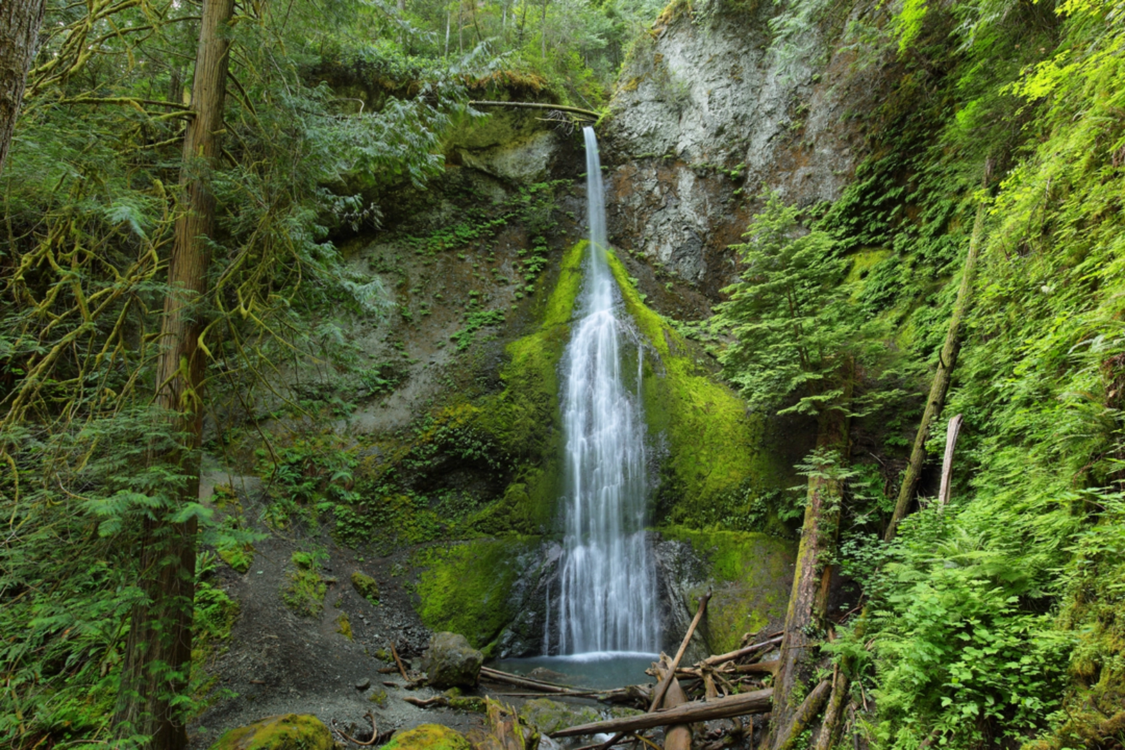 An image depicting the trail Barnes Creek via Marymere Falls Nature Trail and its surrounding area.