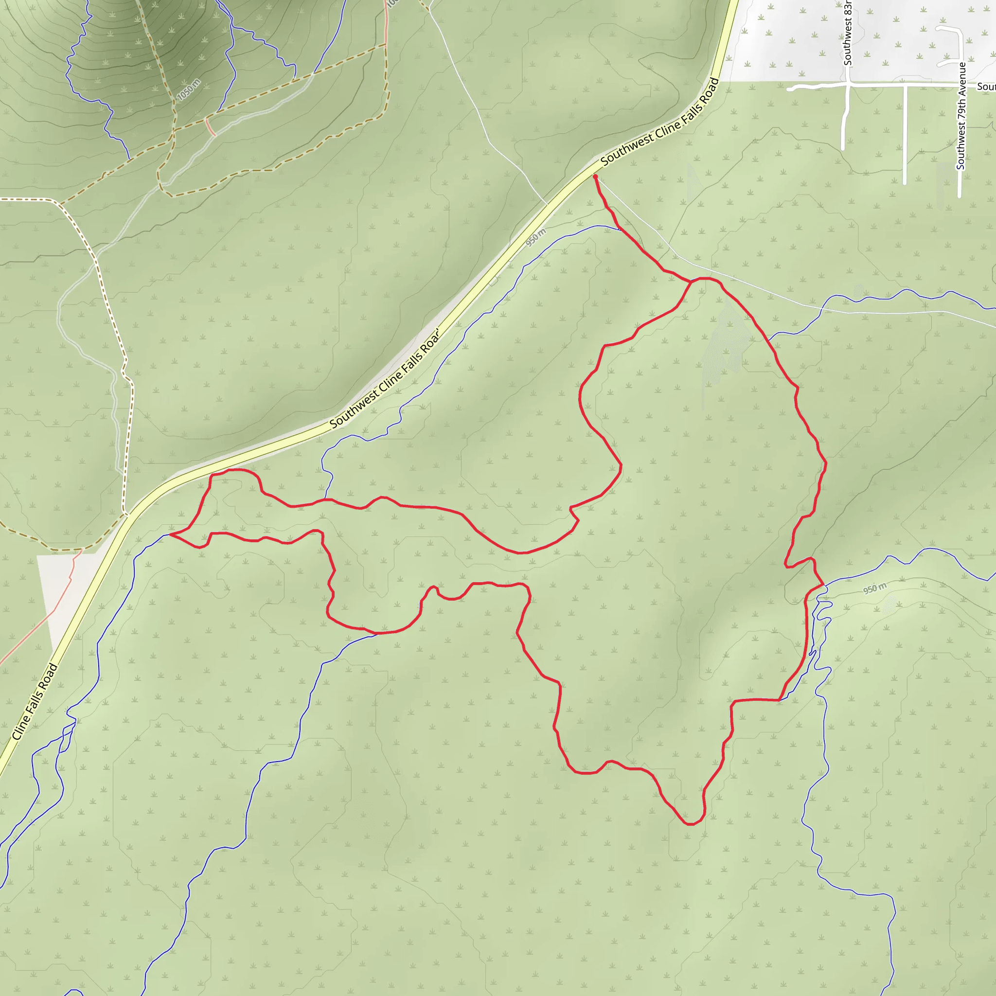 Pumice Foot Loop Trail mobile static map