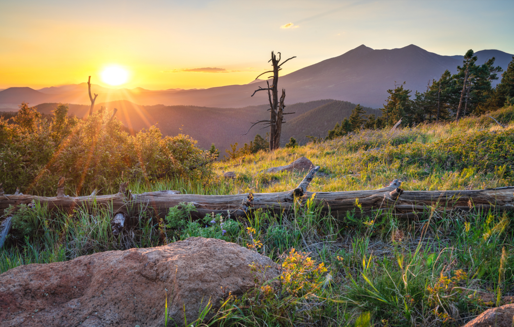 An image depicting the trail Horse Camp Access Trail and its surrounding area.