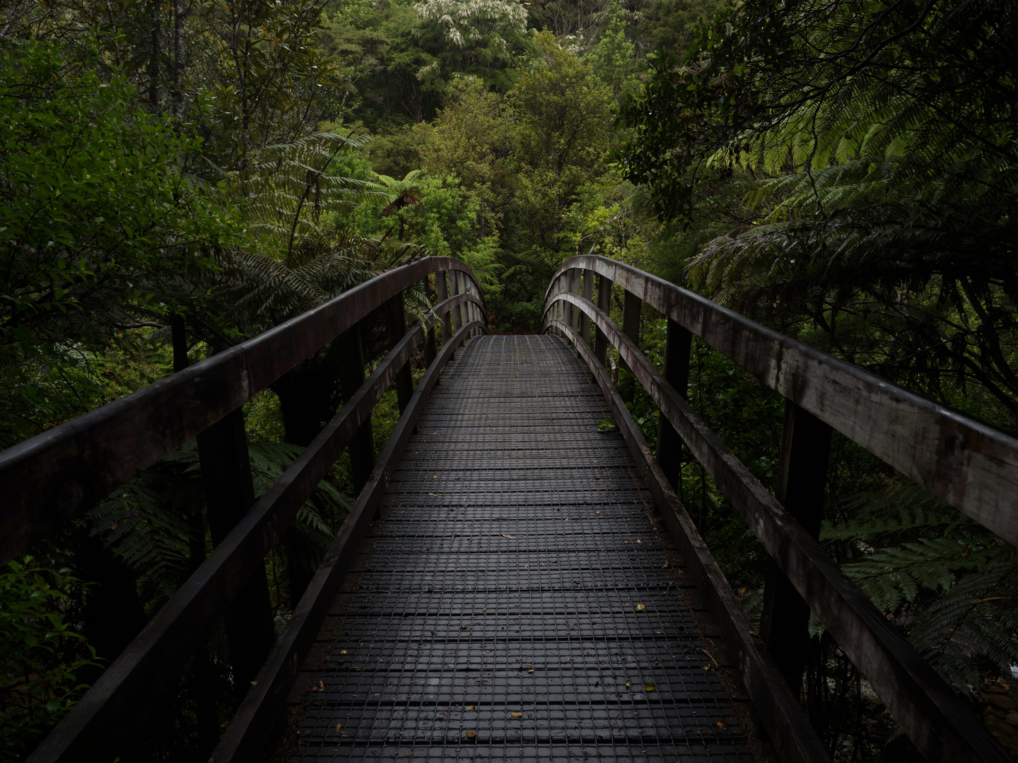 An image depicting the trail Maratoto - Wentworth Crossing and its surrounding area.