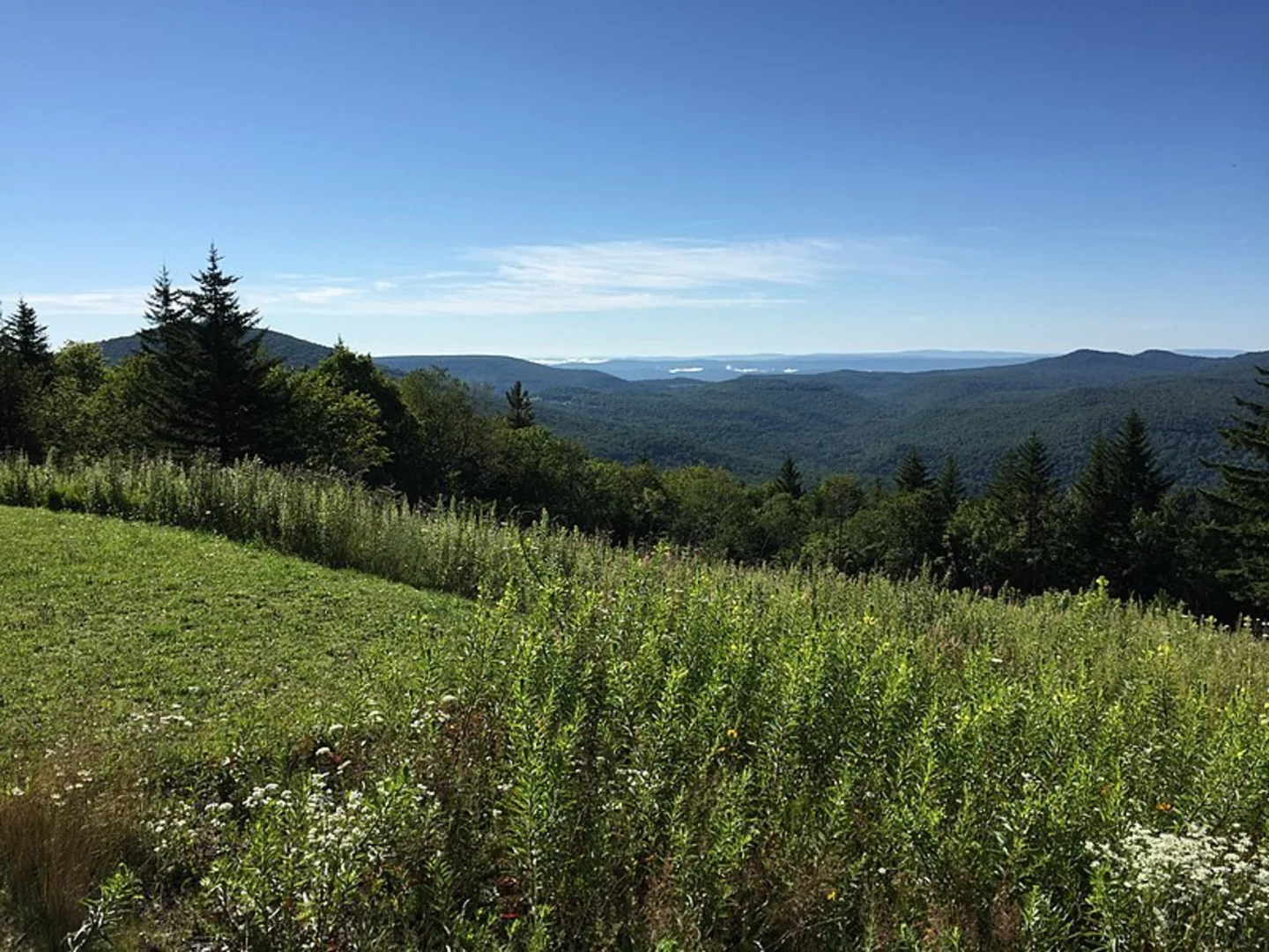An image depicting the trail Glades Overlook Trail and its surrounding area.
