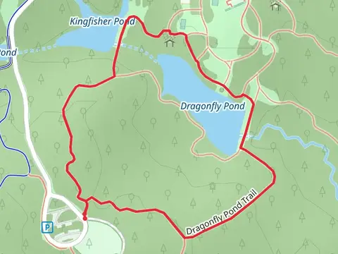 Dragonfly Pond Loop