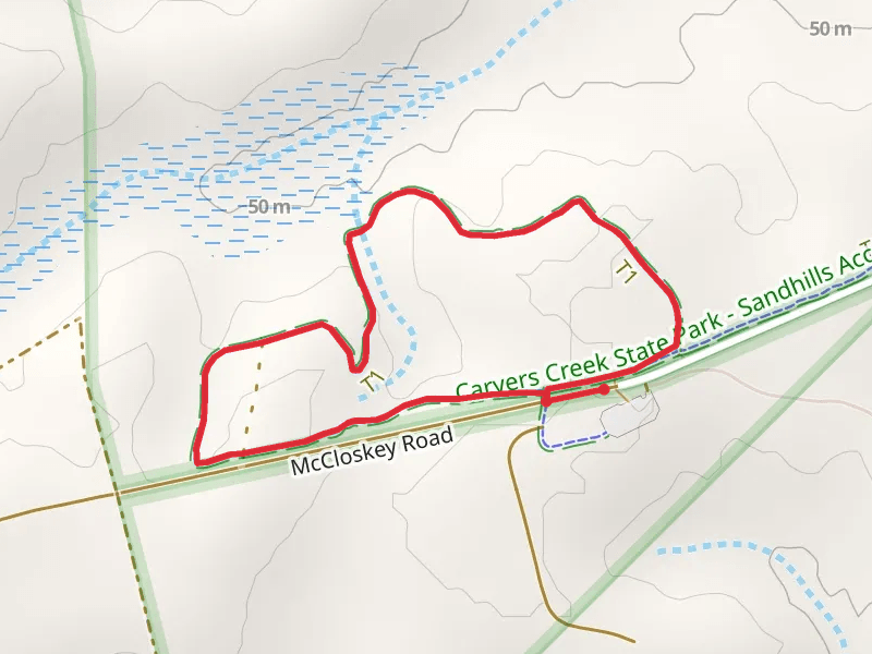 Wire Grass Loop Trail