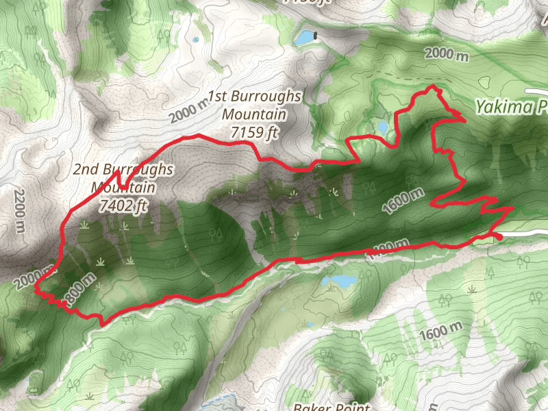 Glacier Basin Trail and Sunrise Trail