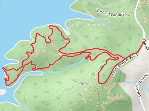 Double Fork Tree Loop Trail