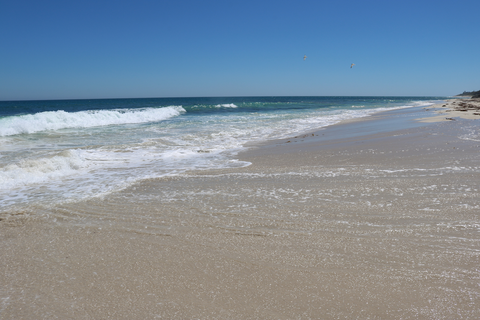 Bush to Beach Trail