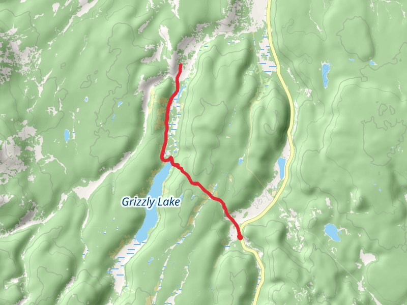 Grizzly Lake Trail