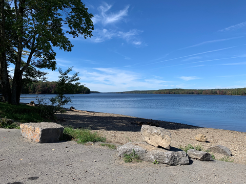 Stony Pond and Center Pond via Stony Pond Trail and Hewitt Pond Trail