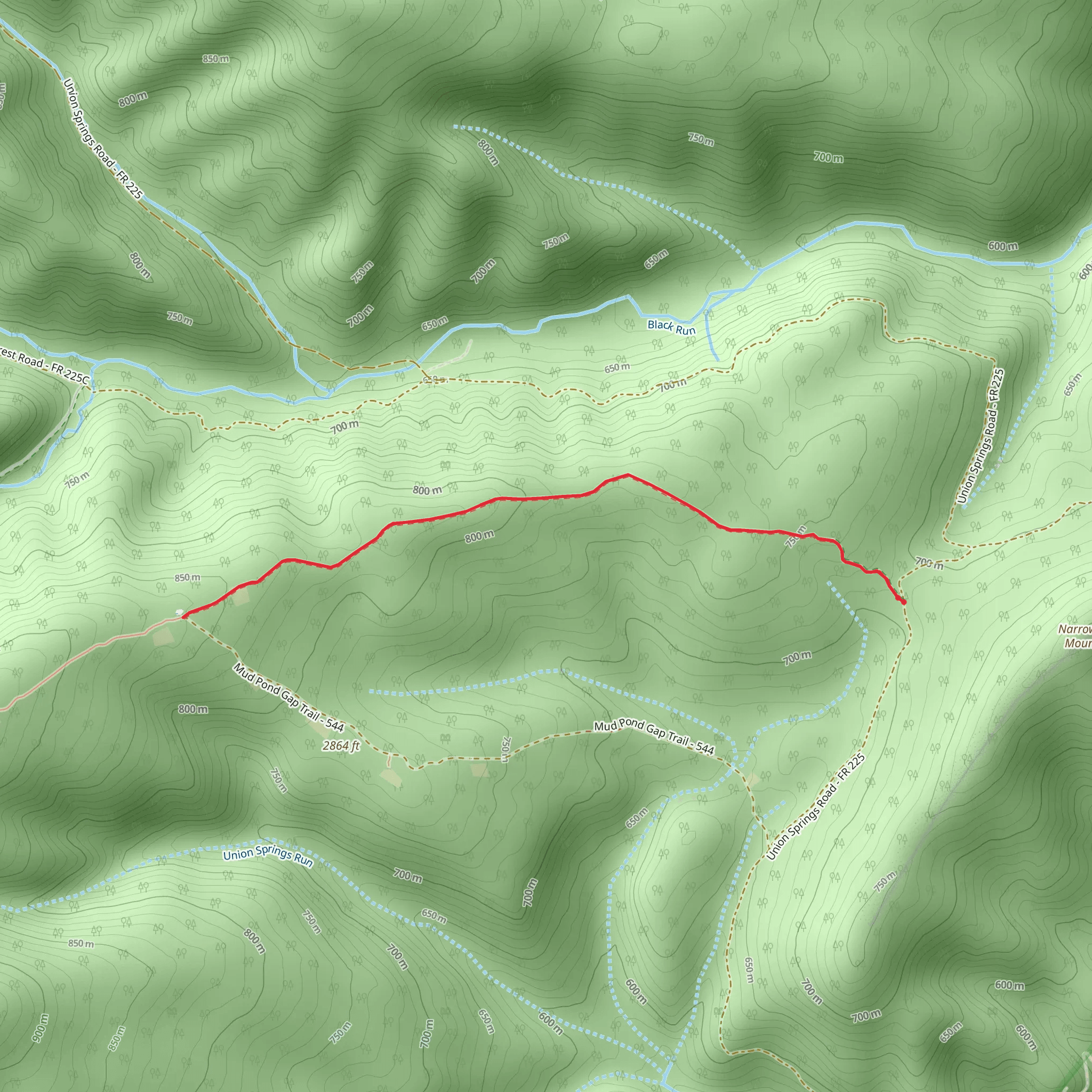 Blueberry Trail mobile static map