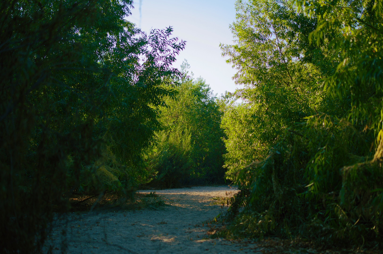 An image depicting the trail Gabrielino Trail from Spreading Basins and its surrounding area.