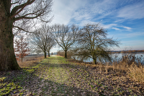 Bakelse Plassen, Overloonsche Duinen, Voorhaven and Stiching Loop