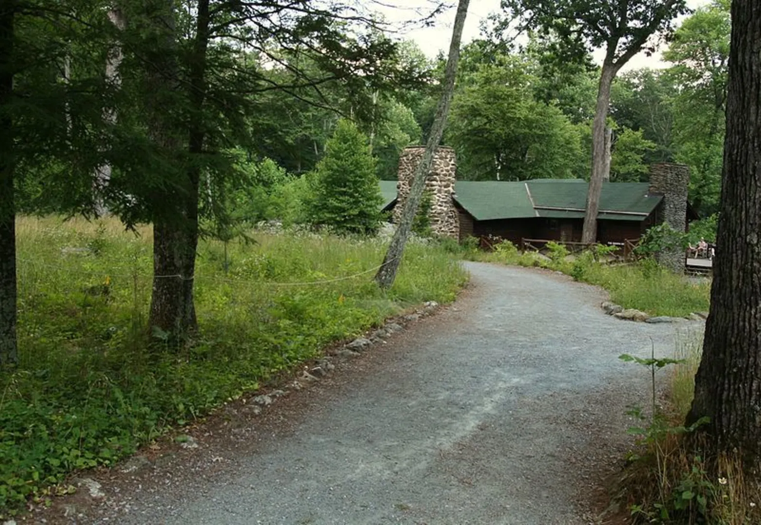 An image depicting the trail Mill Prong to Rapidan Camp Trail and its surrounding area.
