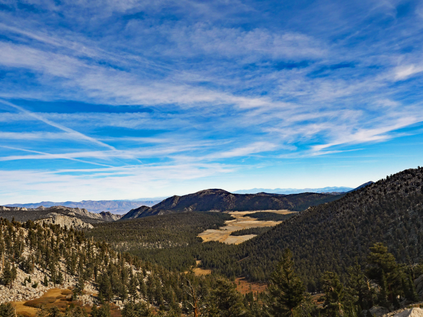 An image depicting the trail Cottonwood Pack Station Cutoff Trail and its surrounding area.