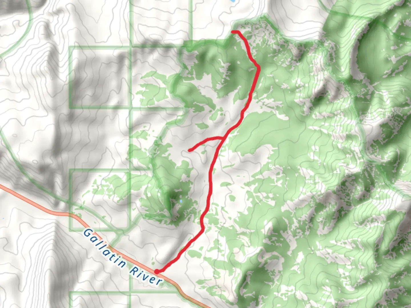 An image depicting the trail Daly Creek - Gallatin Road and its surrounding area.