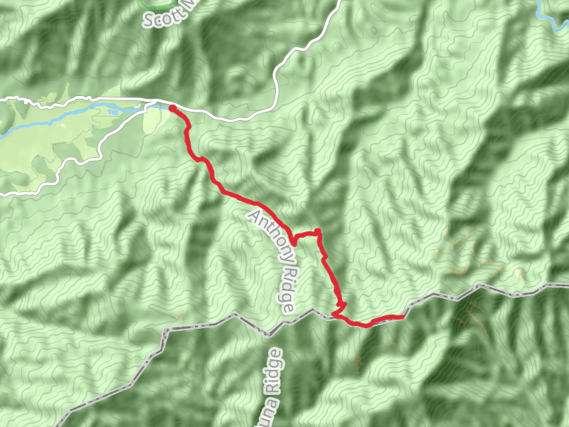 Rocky Top via Anthony Creek Trail