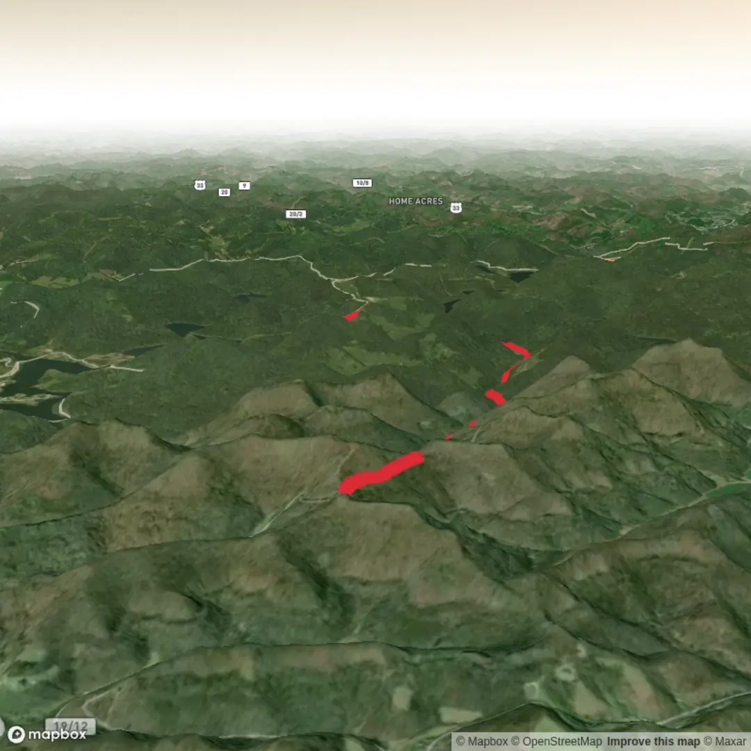 An image depicting the trail Wolf Fork Road Trail and its surrounding area.