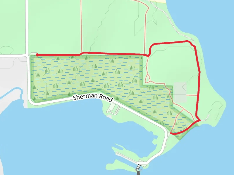 Asylum Point