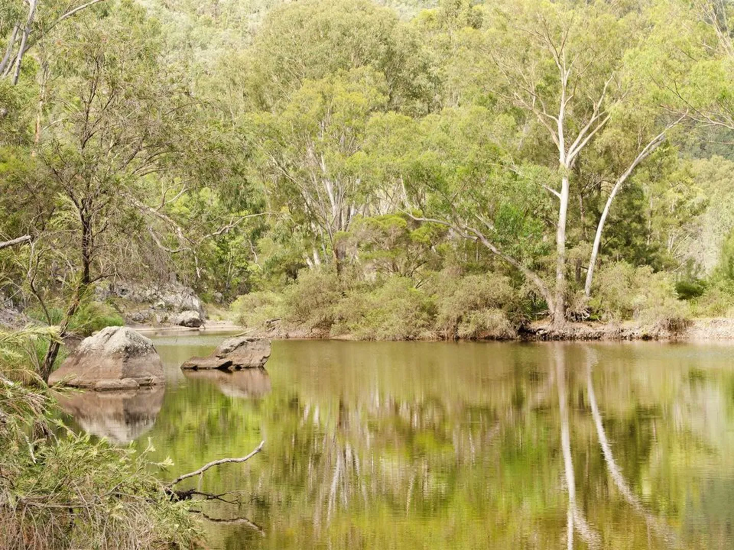 An image depicting the trail Blue Gorge - Ooline Creek Circuit Track and its surrounding area.